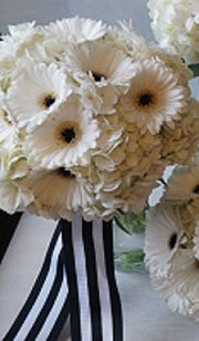 20 white gerberas wrapped with stripes